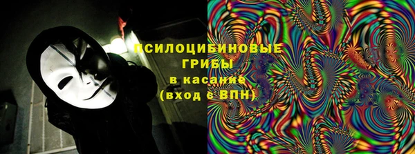 тгк Аркадак