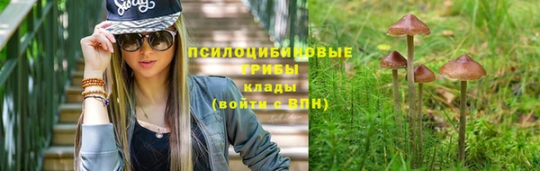 мяу мяу мука Армянск